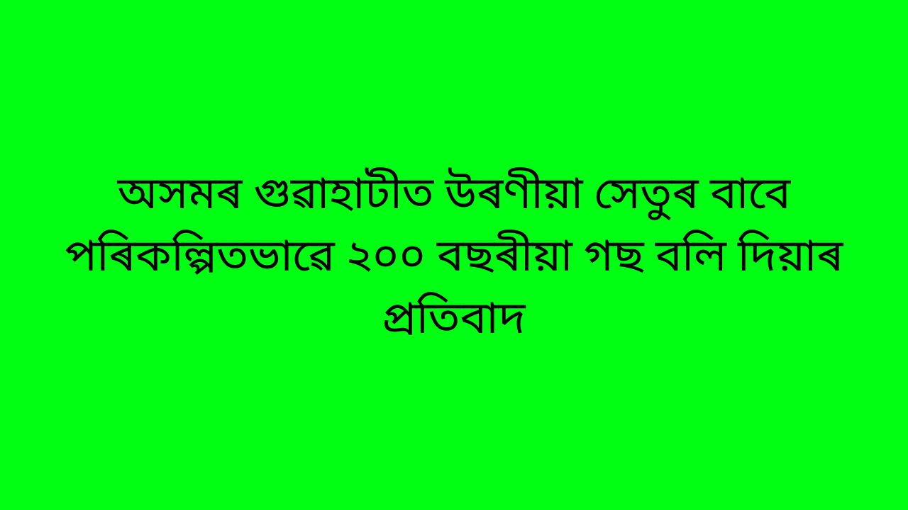অসমৰ গুৱাহাটীত উৰণীয়া সেতুৰ বাবে পৰিকল্পিতভাৱে ২০০ বছৰীয়া গছ বলি দিয়াৰ প্ৰতিবাদ